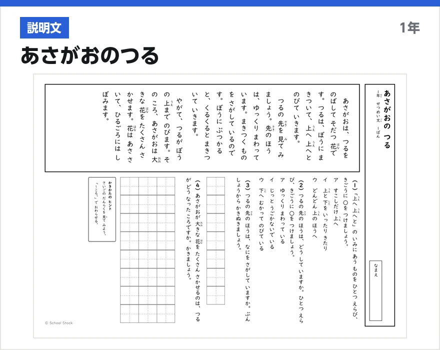 説明文 あさがおのつる