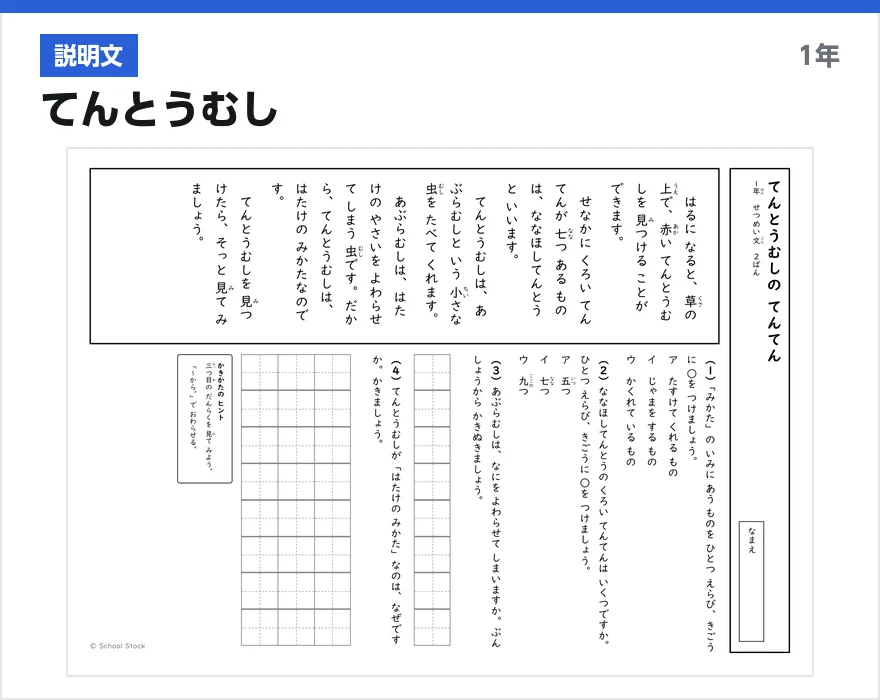 説明文 てんとうむし
