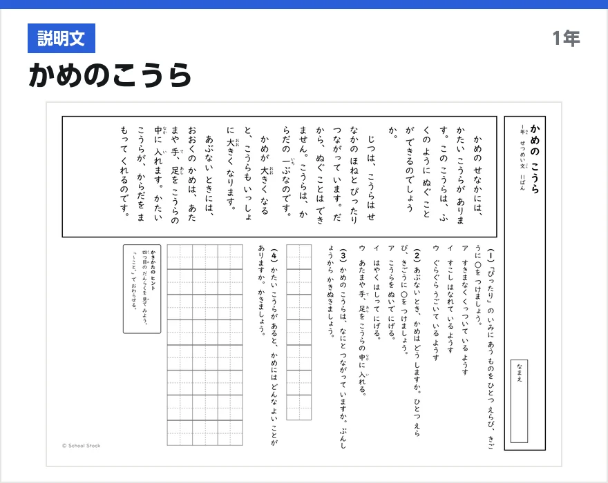 説明文 かめのこうら