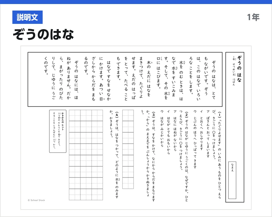 説明文 ぞうのはな