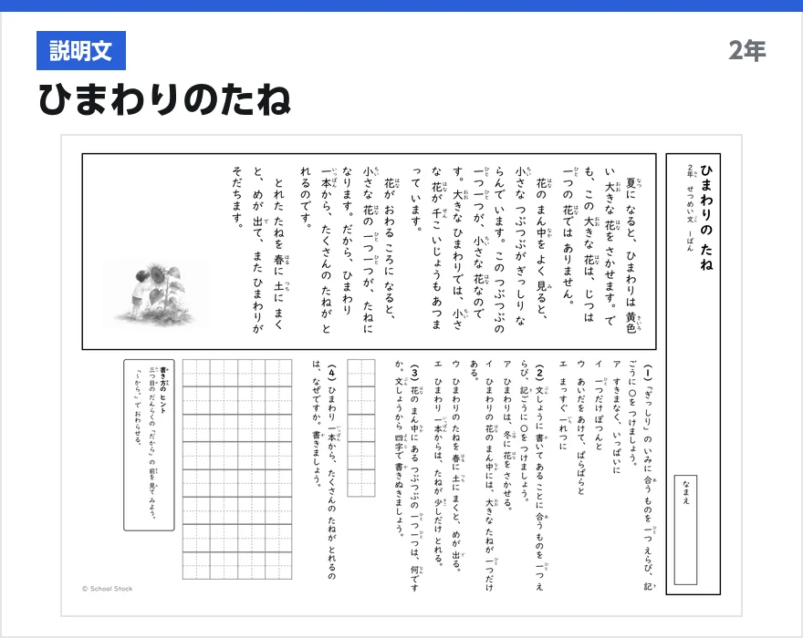 説明文 ひまわりのたね