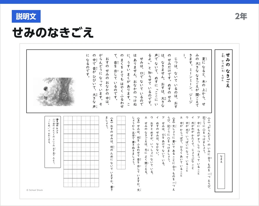 説明文 せみのなきごえ
