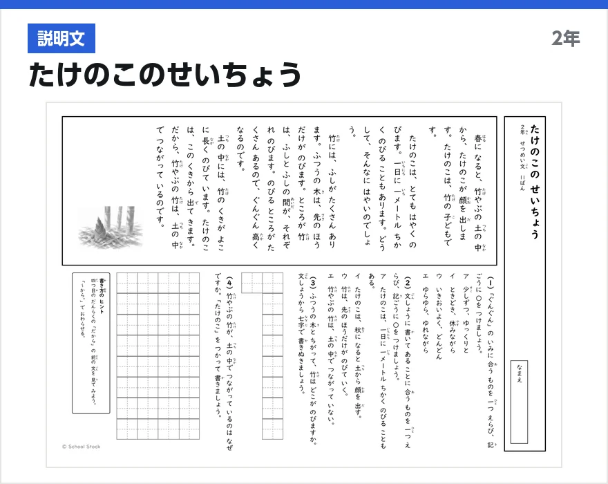 説明文 たけのこのせいちょう