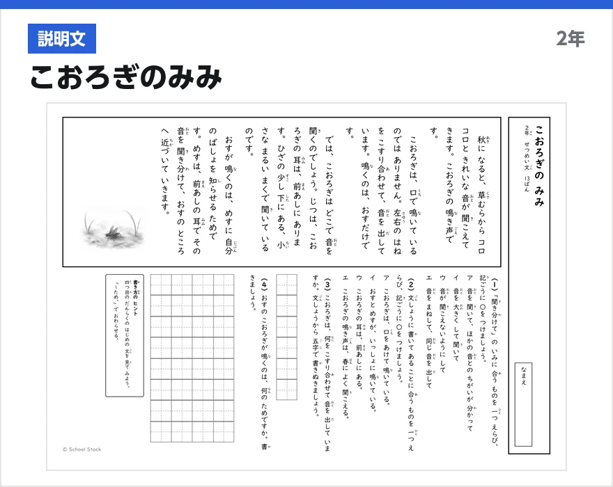 説明文 こおろぎのみみ