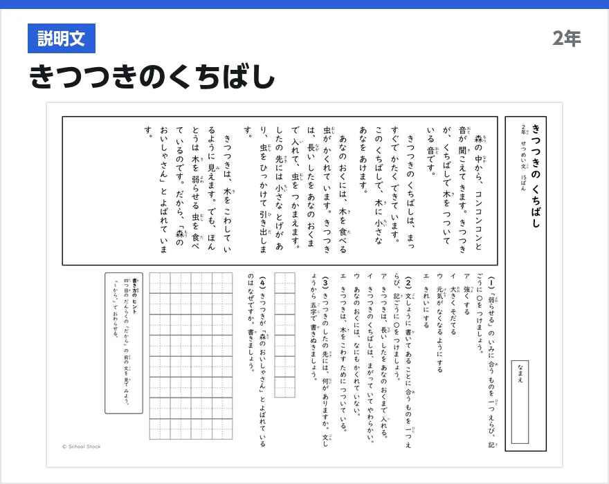 説明文 きつつきのくちばし