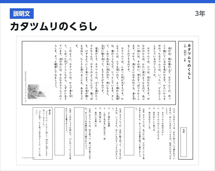説明文 カタツムリのくらし