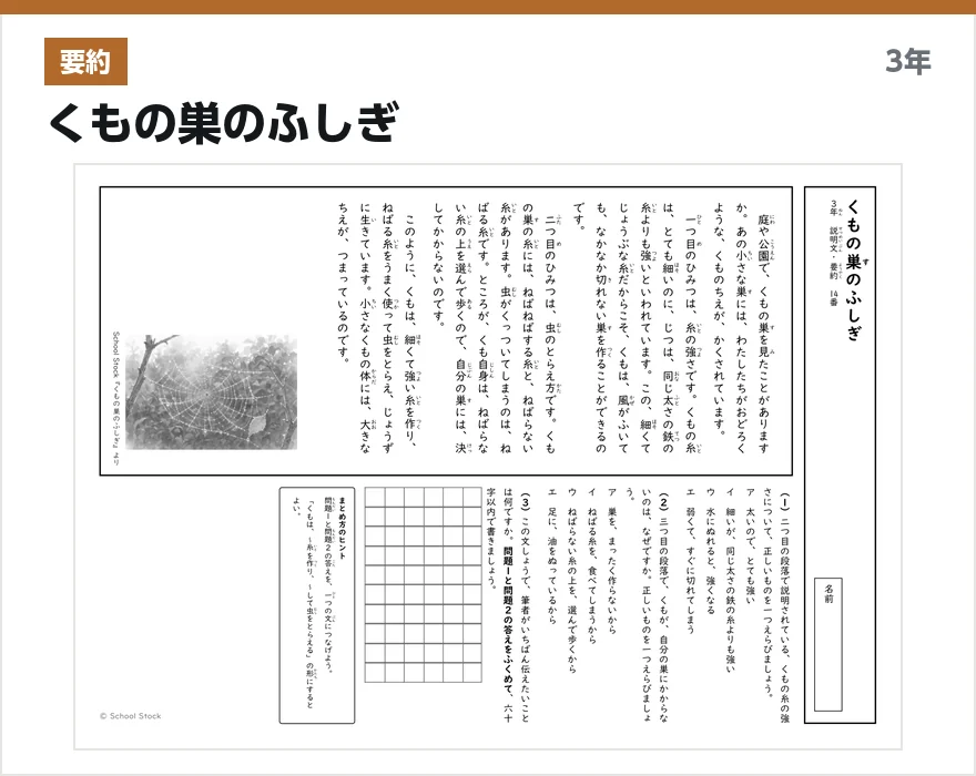 要約 くもの巣のふしぎ