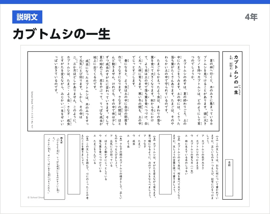 説明文 カブトムシの一生