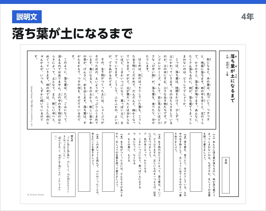説明文 落ち葉が土になるまで