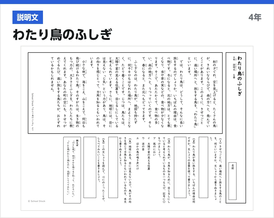 説明文 わたり鳥のふしぎ
