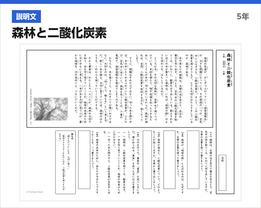 説明文 森林と二酸化炭素