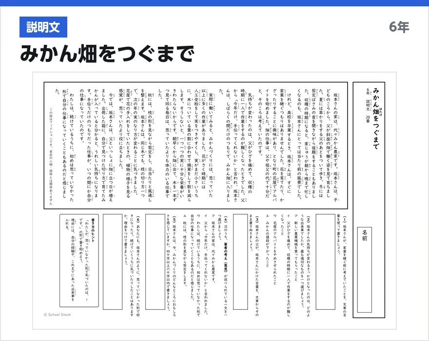 説明文 みかん畑をつぐまで