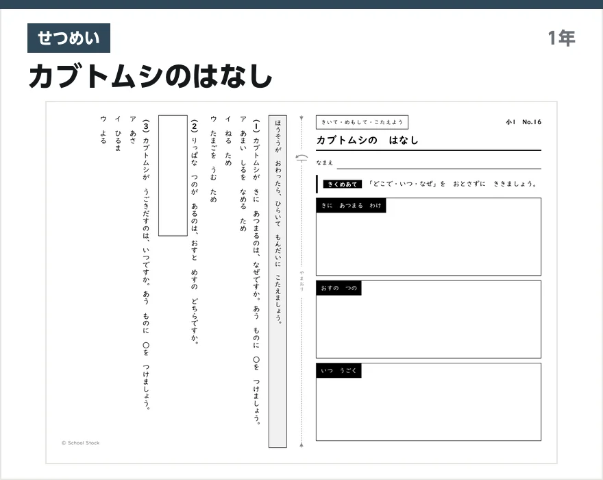 せつめい カブトムシのはなし