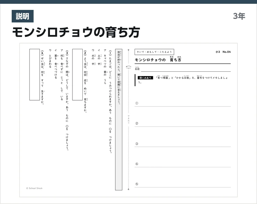 説明 モンシロチョウの育ち方