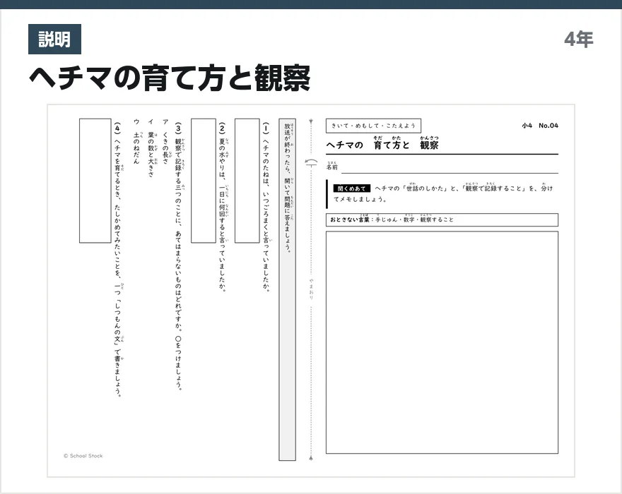 説明 ヘチマの育て方と観察