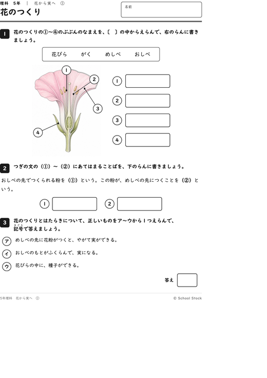 花のつくり