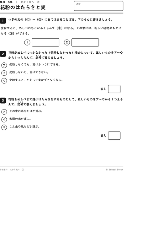 花粉のはたらきと実
