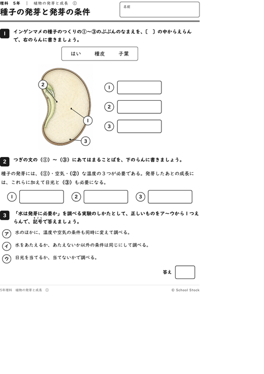 種子の発芽と発芽の条件