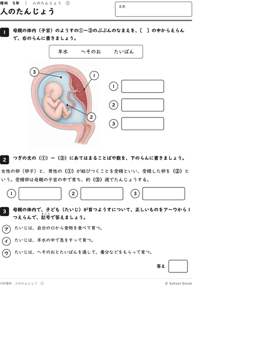 人のたんじょう