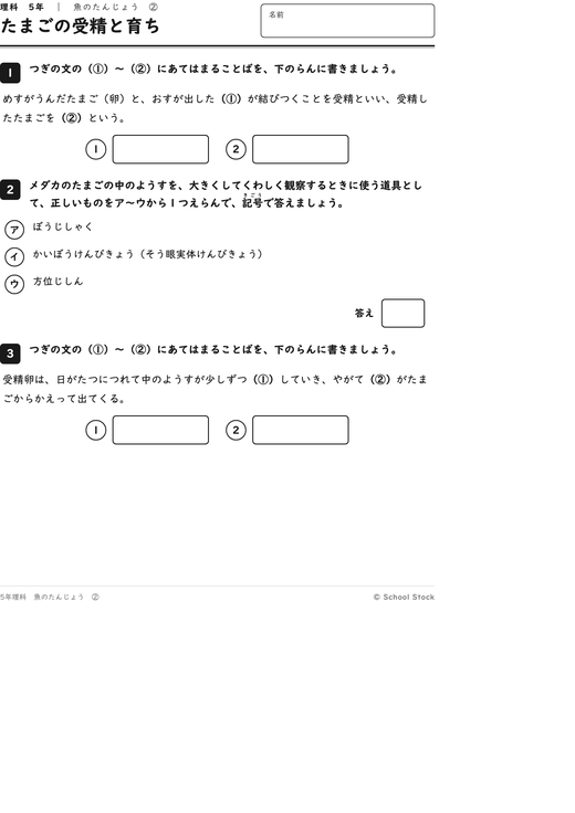たまごの受精と育ち
