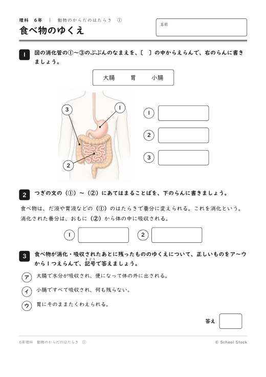 食べ物のゆくえ