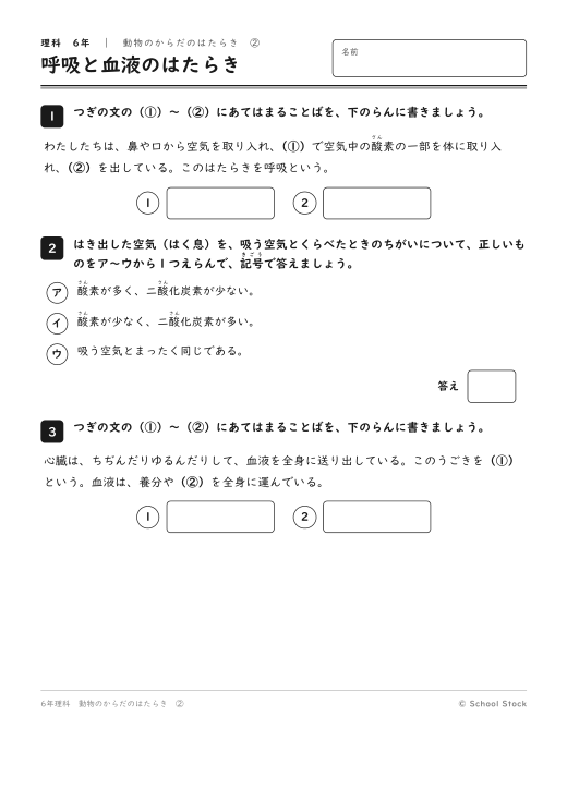 呼吸と血液のはたらき