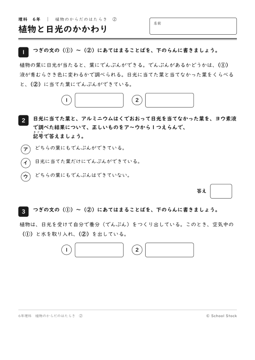 植物と日光のかかわり