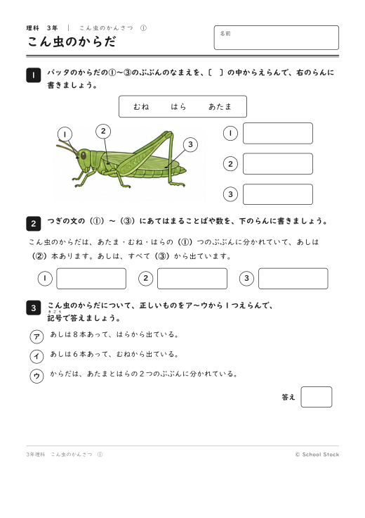 こん虫のからだ