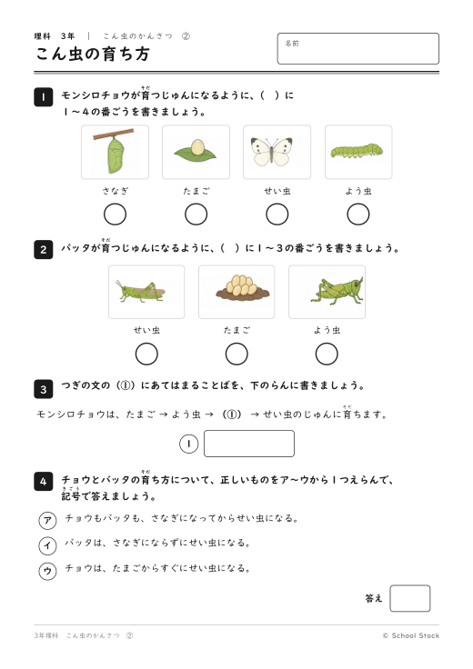 こん虫の育ち方