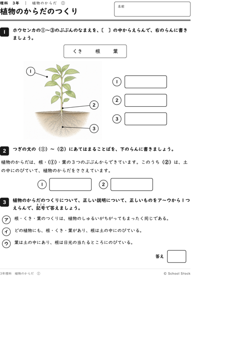 植物のからだのつくり
