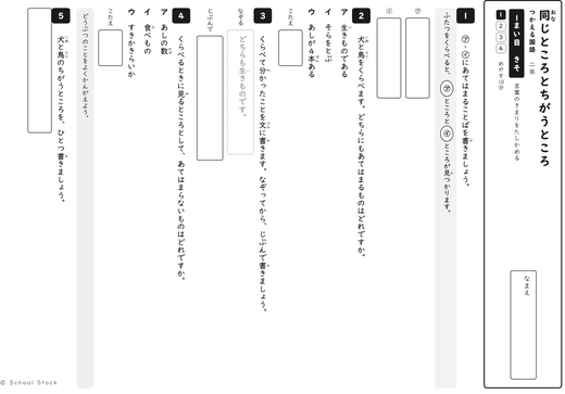 同じところとちがうところ
