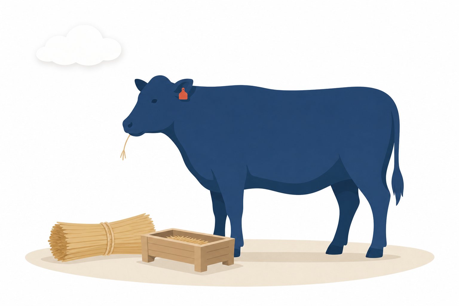 ブランド和牛と畜産。地域で育てるブランド和牛と畜産をあらわしたフラットイラスト。