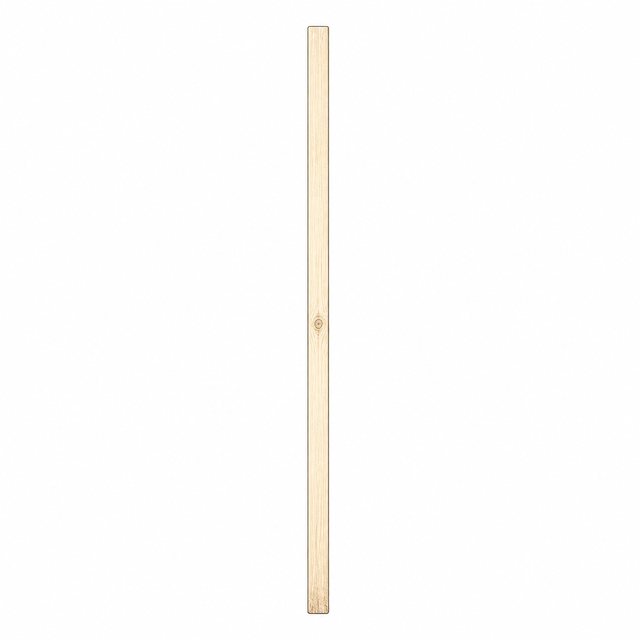 1mの棒（立面・かげなし）