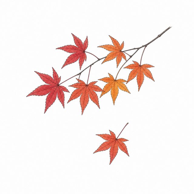 もみじの枝（線画）